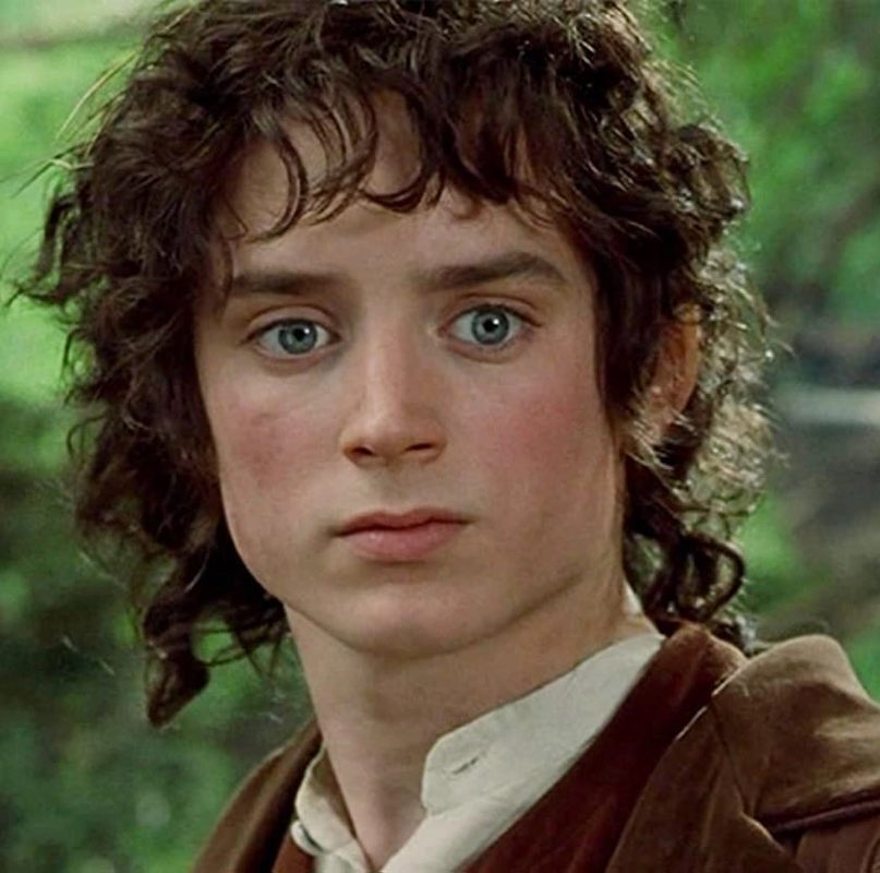 Frodo profile