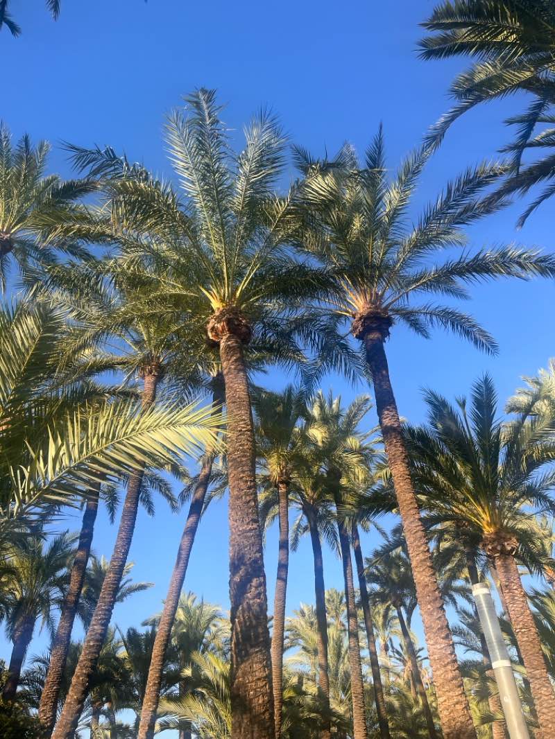 walking near me in Parc de la Creu / Parque de la Cruz in winter