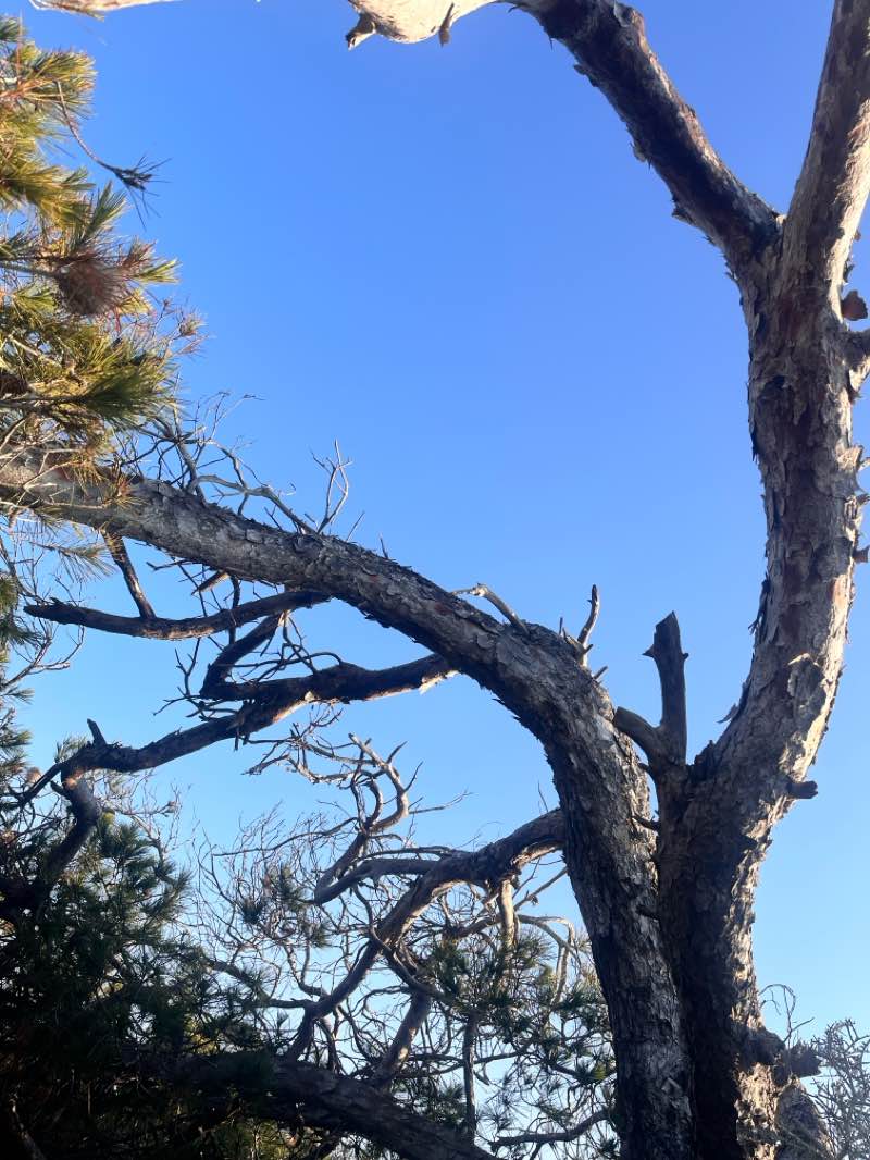 walking near me in Parque Barco Velero in winter
