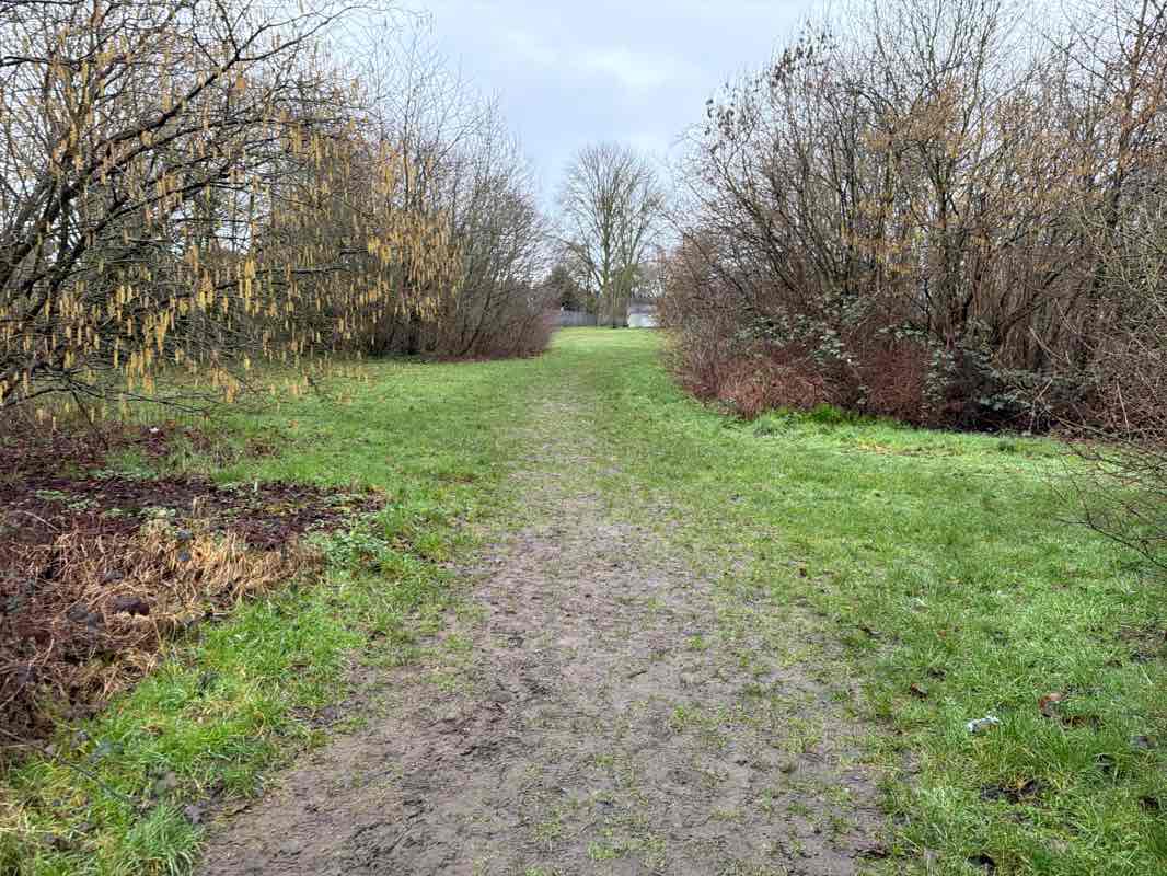 walking near me in Abbey Hill Park in winter