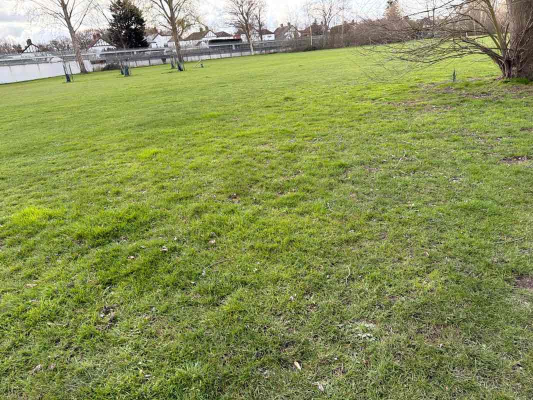 walking near me in Lamorbey Park in spring