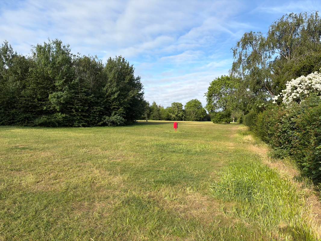 walking near me in Abbey Hill Park in summer