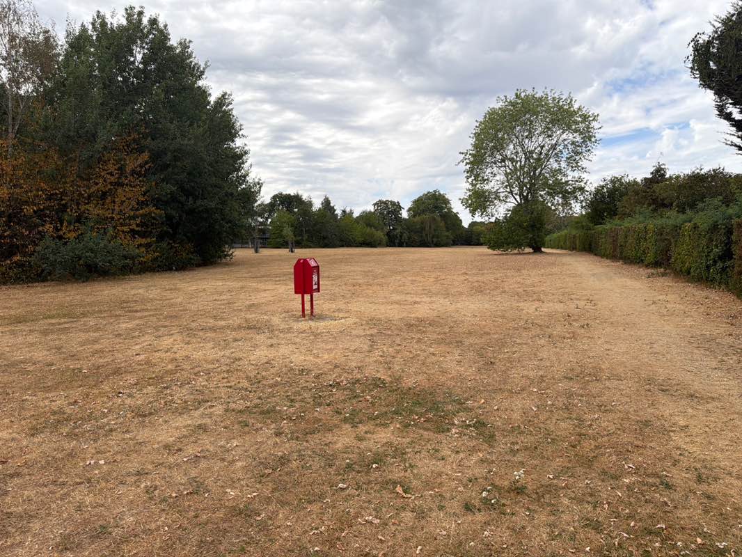 walking near me in Abbey Hill Park in summer