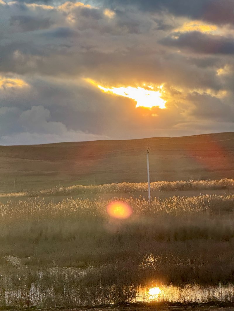 walking near me in Парк культуры и отдыха им. Низами in winter