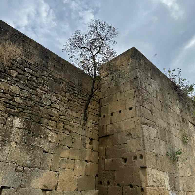 бег это сунна М post image