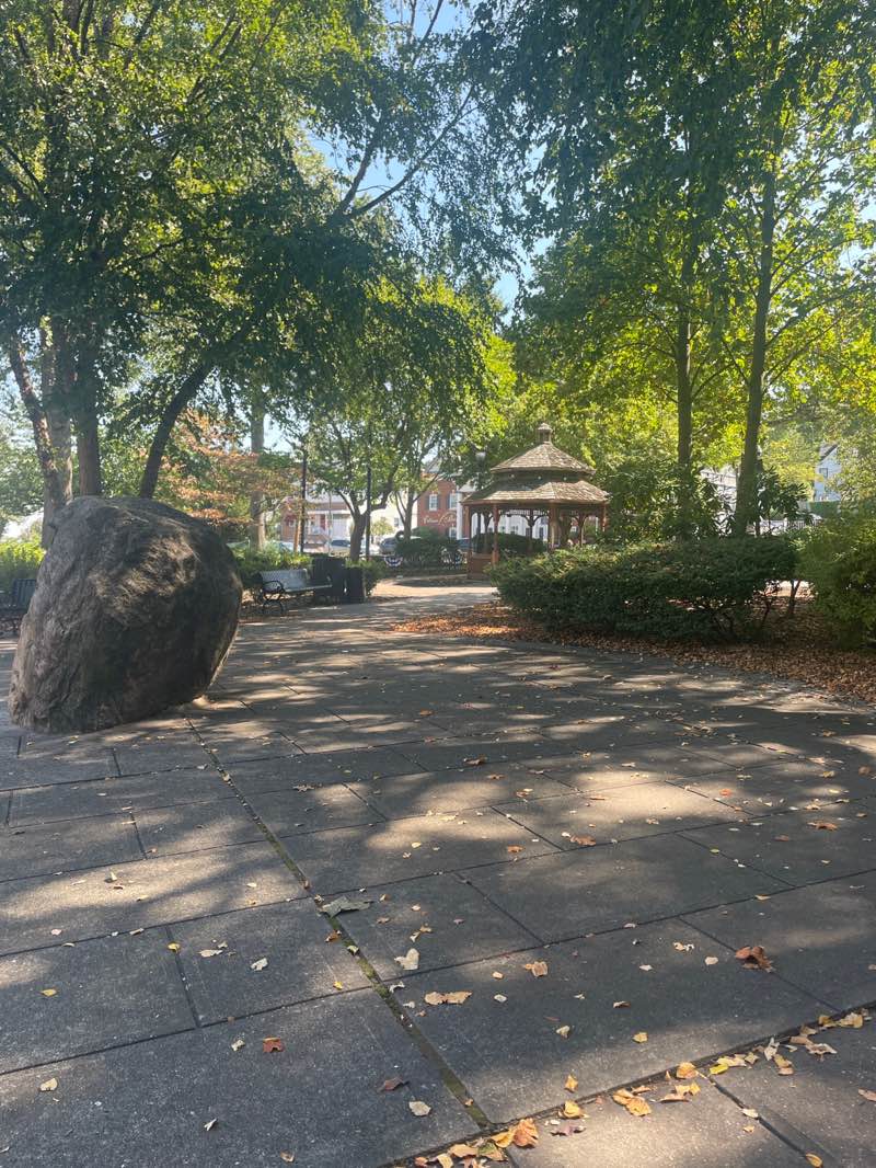 walking near me in Lincoln Park in autumn