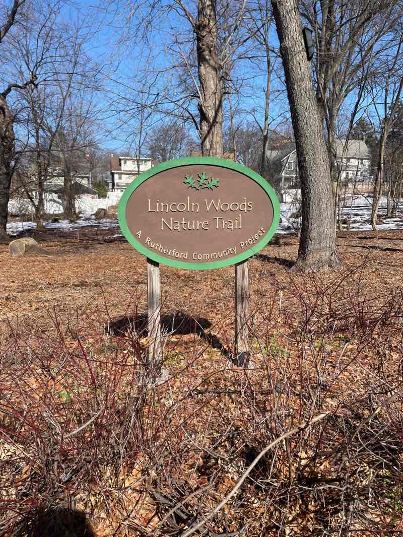 walking near me in Lincoln Woods in spring