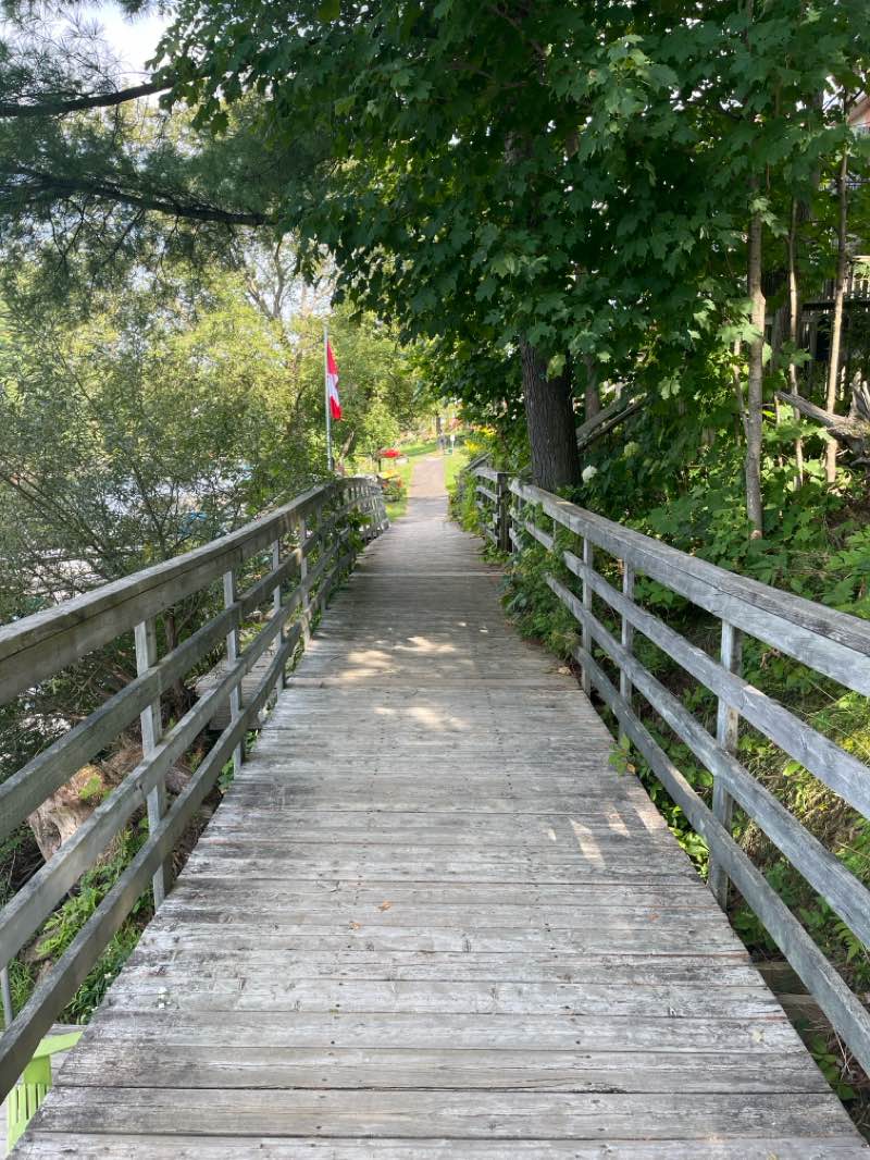 walking near me in Kelvin Grove Park in winter