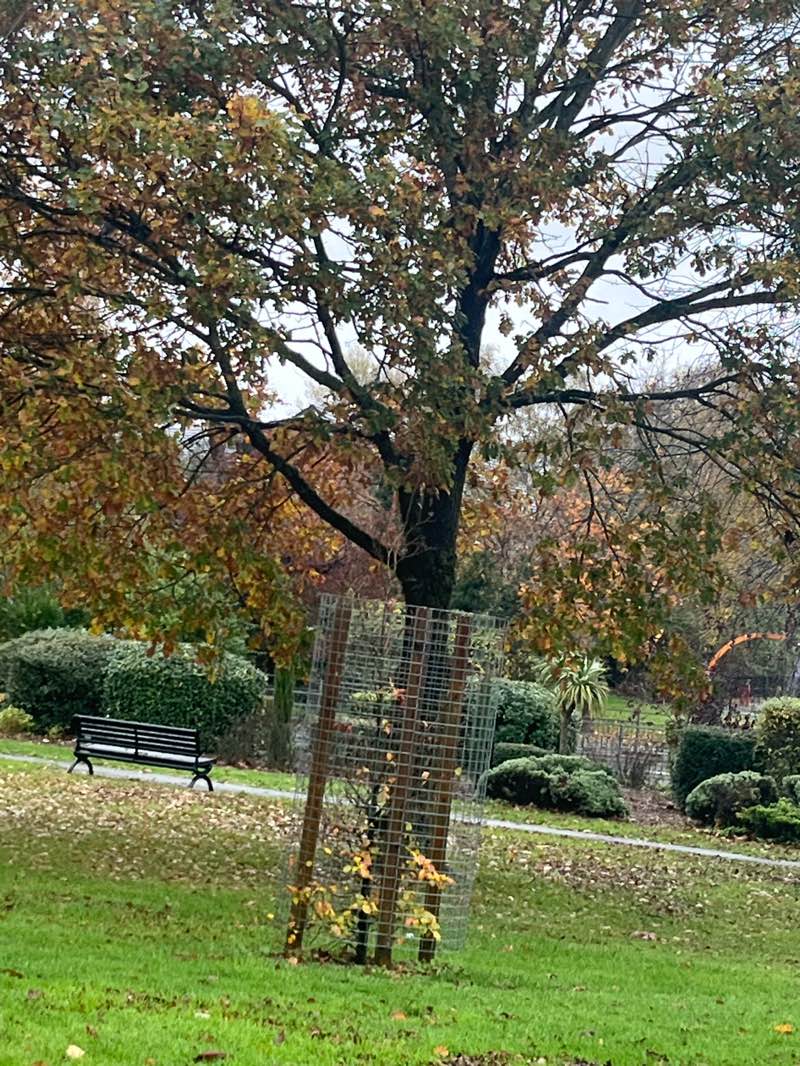 walking near me in Coronation Park in autumn