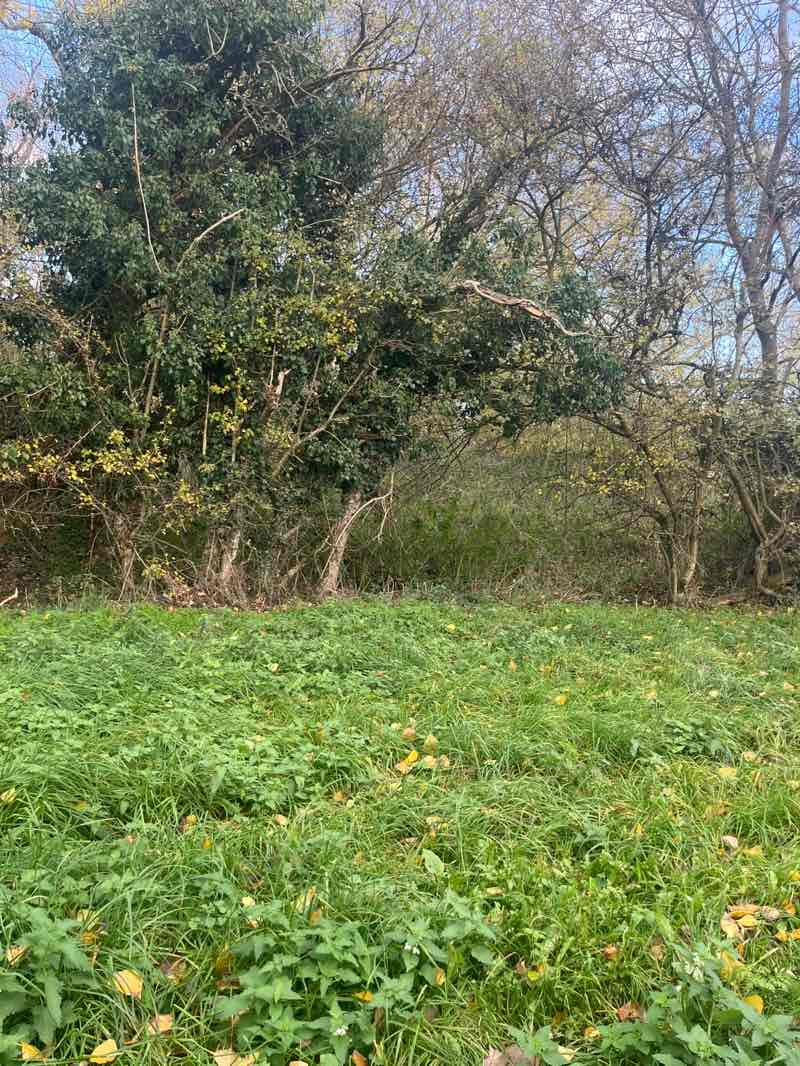 walking near me in Stanion pocket park in autumn