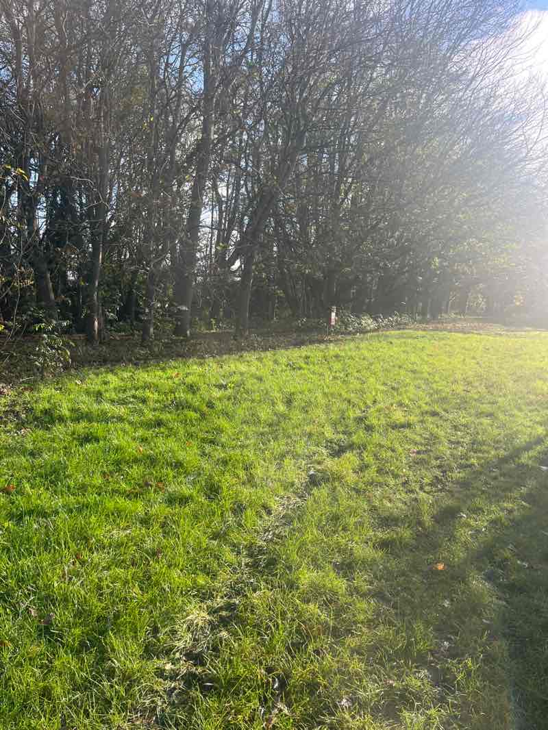 walking near me in Ecton Brook Linear Park in autumn