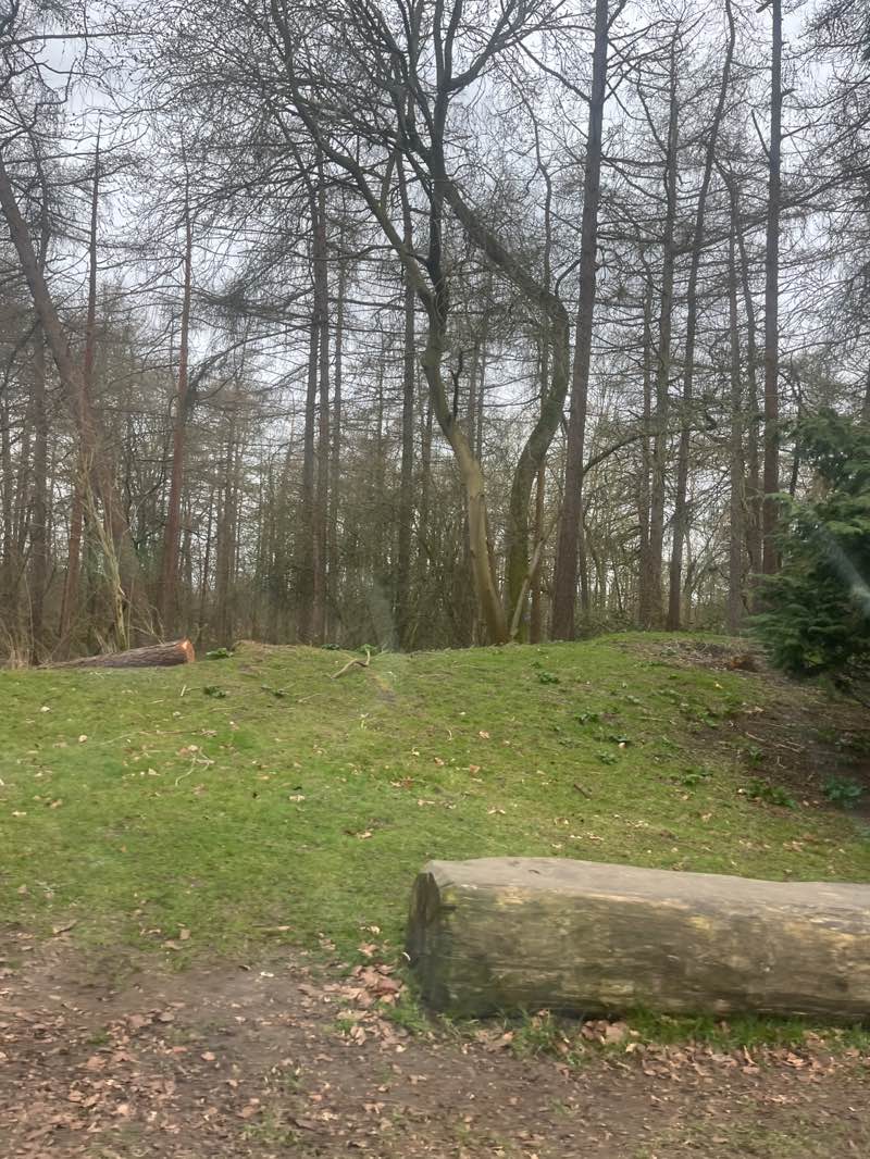 walking near me in Irchester Country Park in spring