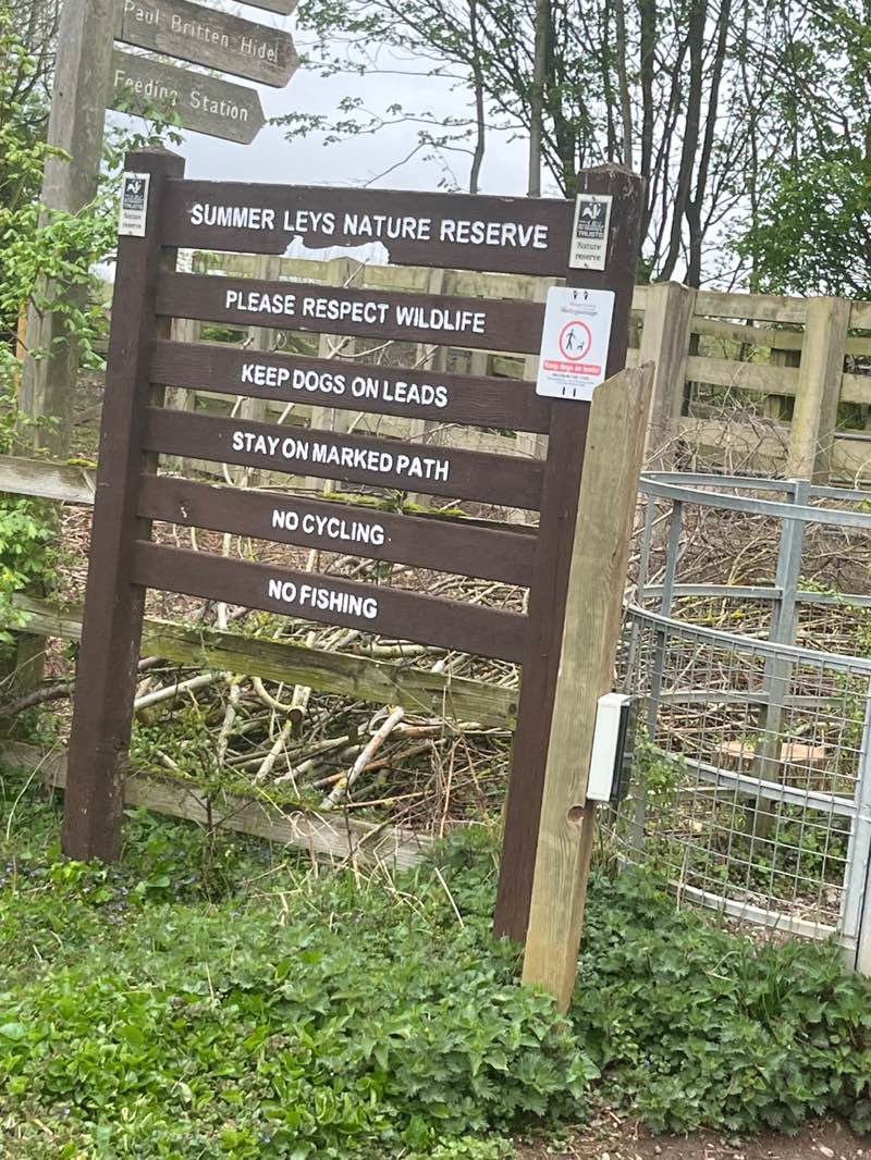 walking near me in Summer Leys Local Nature Reserve in spring