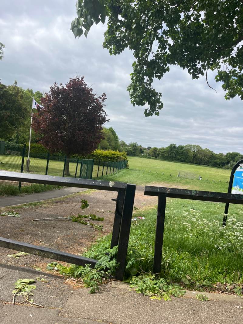 walking near me in Dale End Park in spring