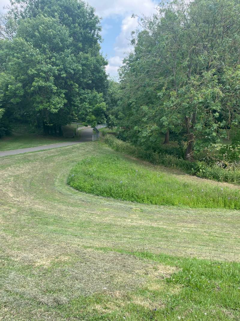 walking near me in Croyland Gardens in summer