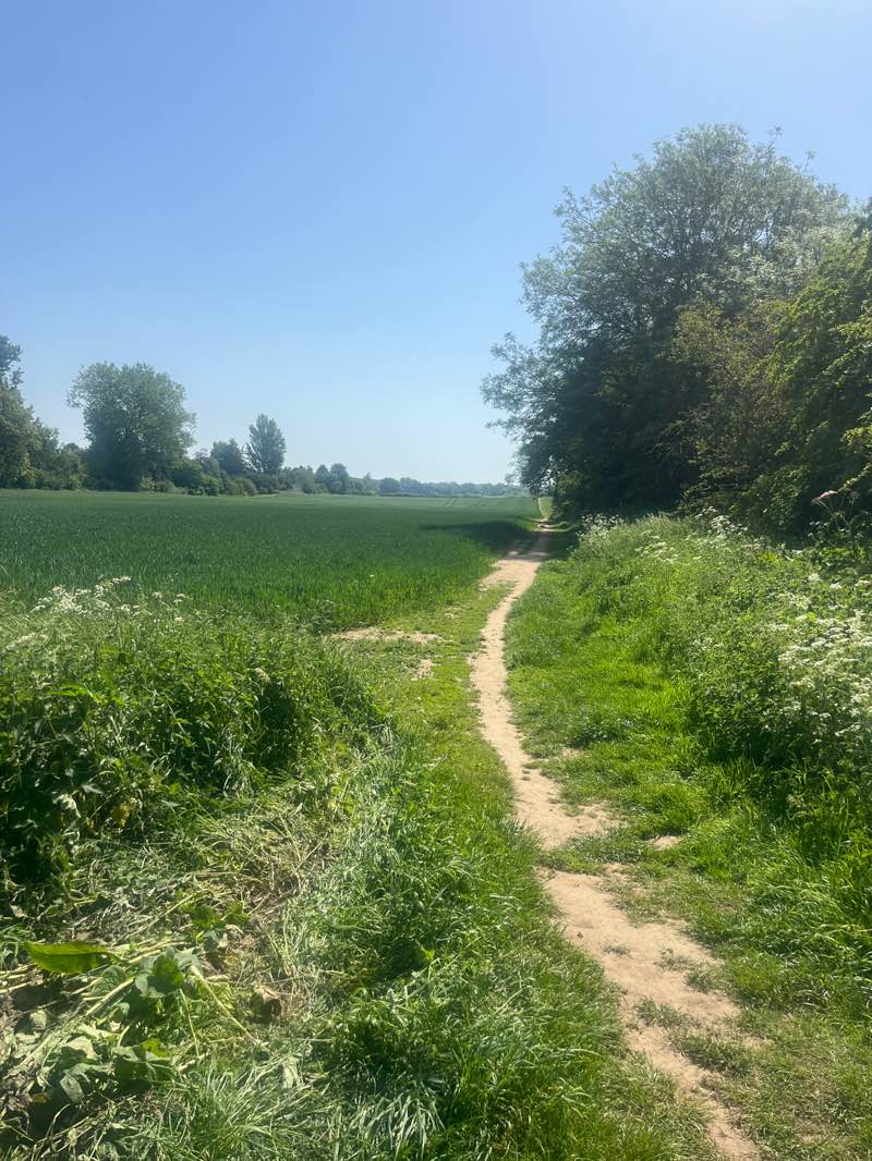 walking near me in Pocket Park in summer