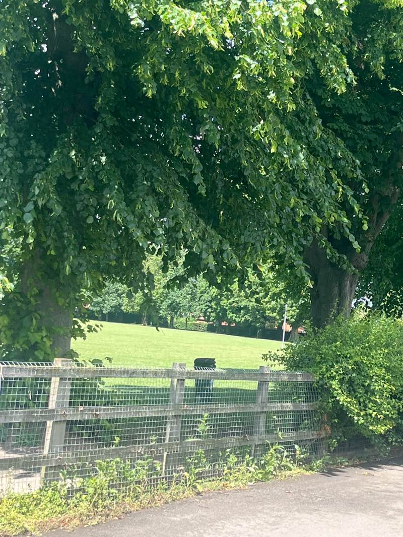 walking near me in Little Bowden Park in summer