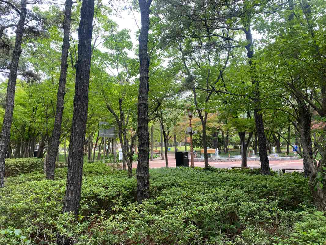 walking near me in 2.28 Ginyeom Jungang Park in winter