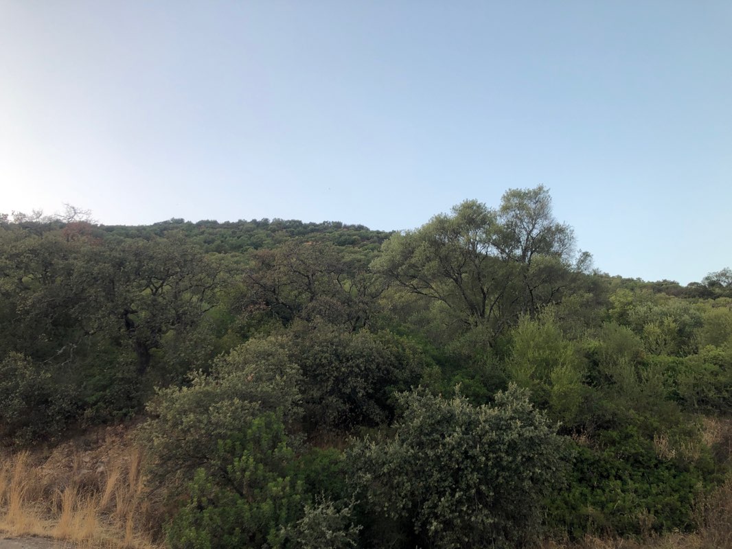 walking near me in Parque Doctor Alfonso Carpintero in winter