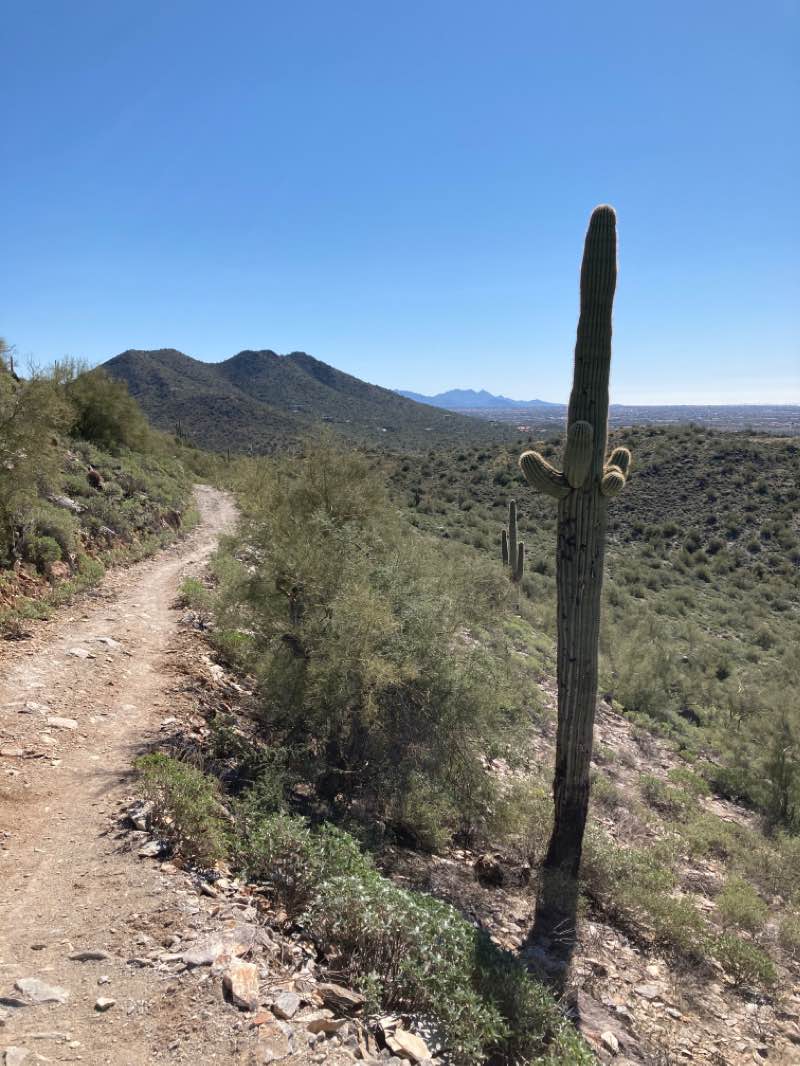walking near me in Cave Creek Regional Park in winter