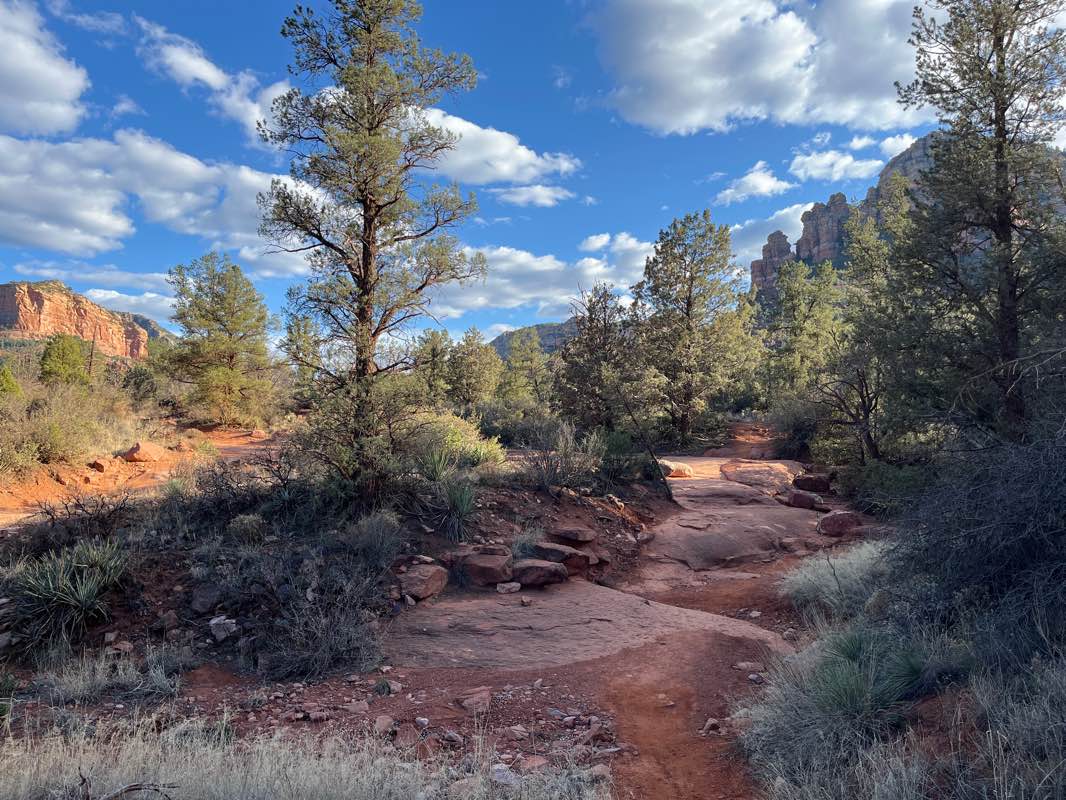 walking near me in Munds Mountain Wilderness in winter