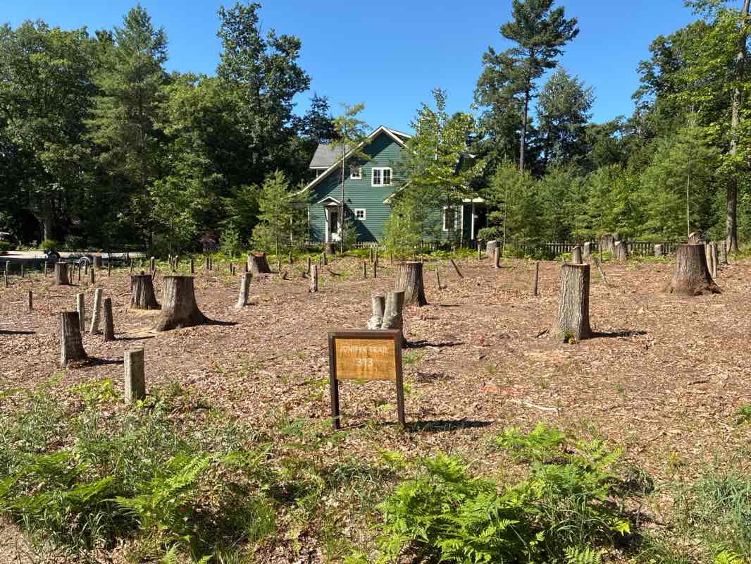 walking near me in Hancock Recreation Area in summer