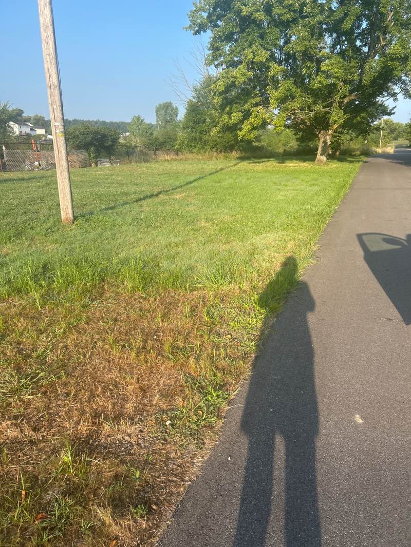 walking near me in Diamond Park in autumn