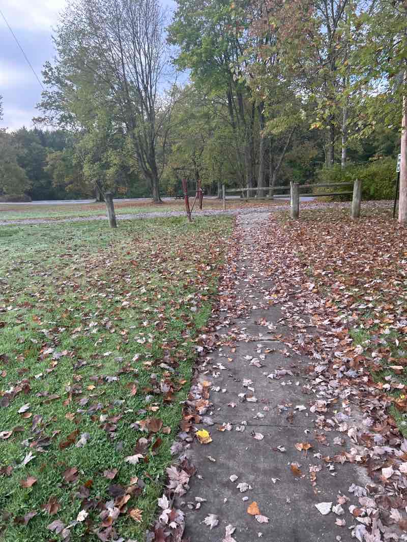 walking near me in Havres Woods Park in autumn