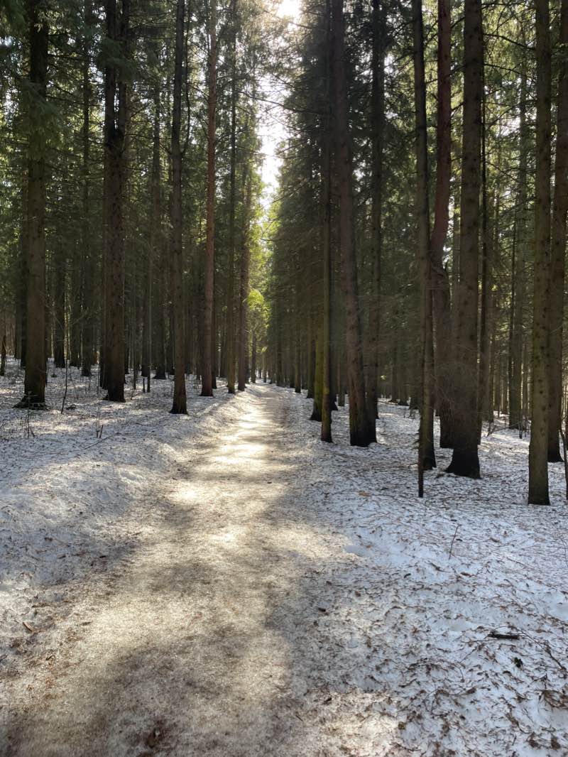 walking near me in Комсомольский парк in winter