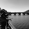 Ludovica