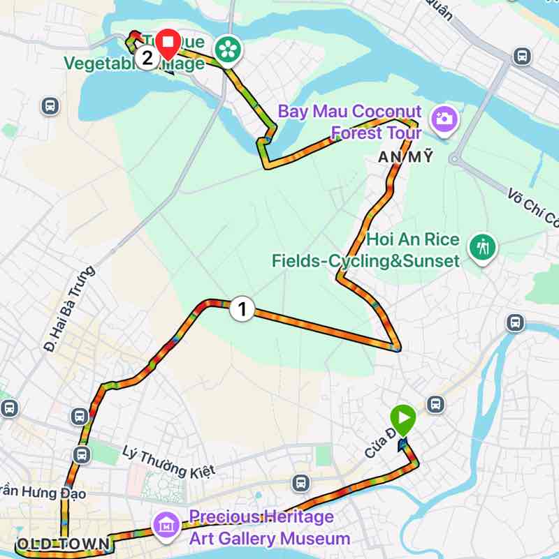 Free Strides massimu2b post image