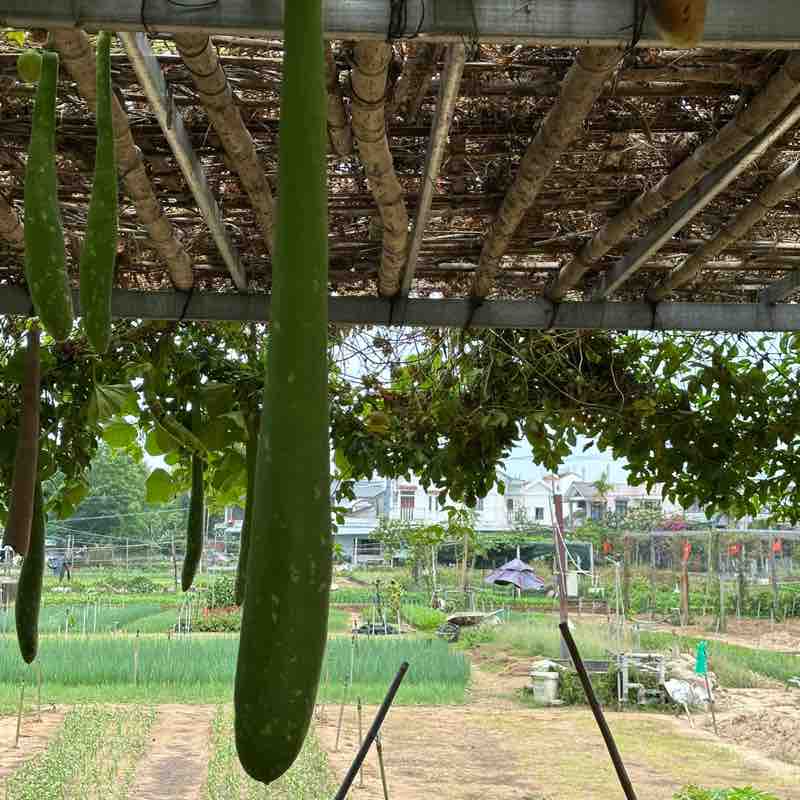 Free Strides massimu2b post image