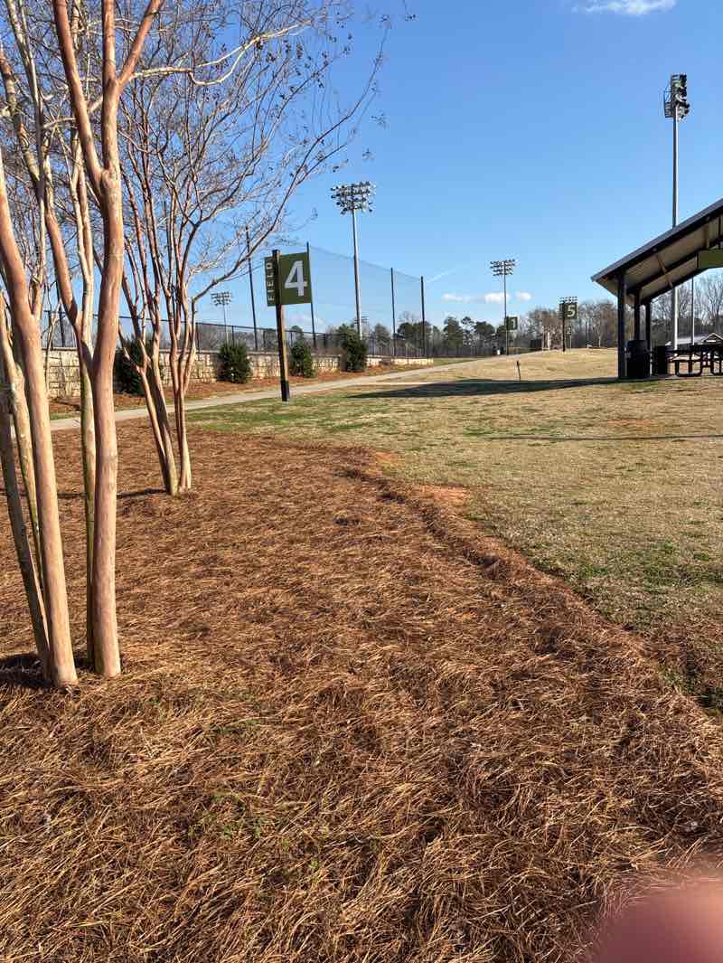 walking near me in Hanna Park in spring