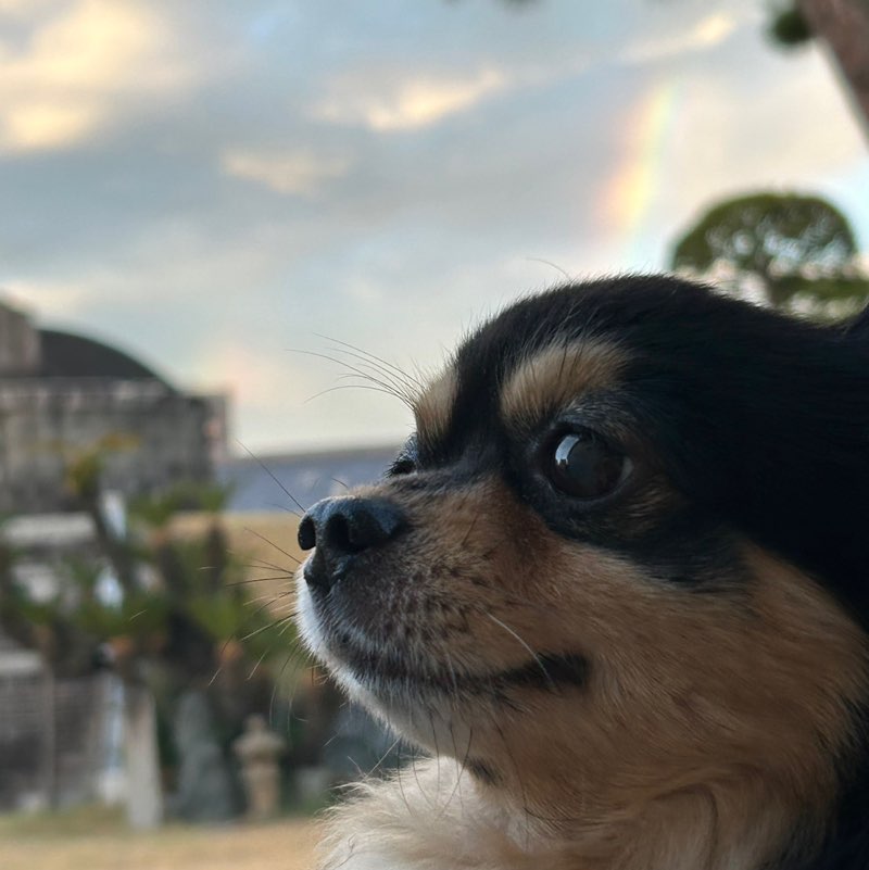 省吾