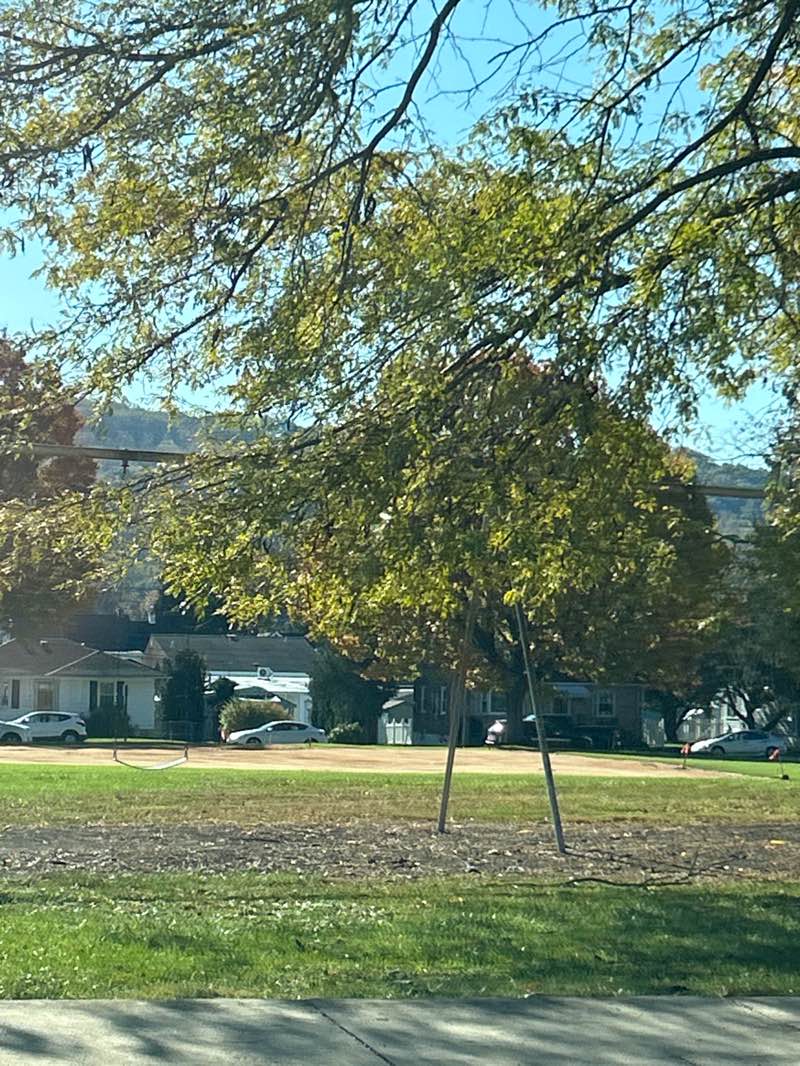 walking near me in Lions Field in autumn
