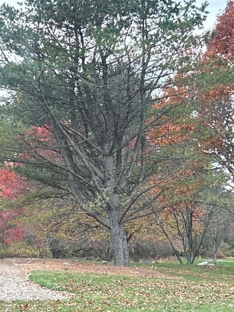 walking near me in Bob Rodale Cycling & Fitness Park in autumn