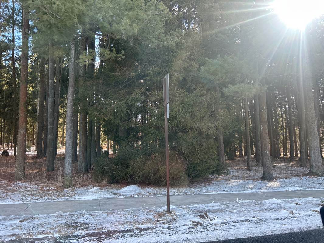 walking near me in Kalmbach Memorial Park in winter