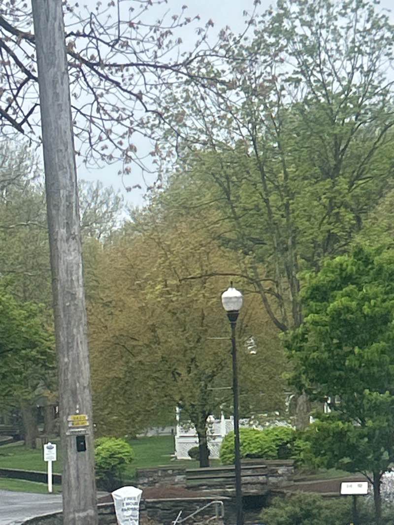 walking near me in Lititz Springs Park in spring