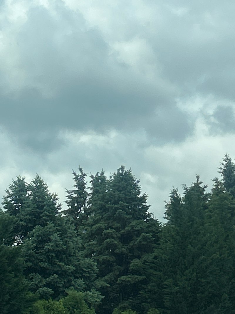 walking near me in Wescosville Memorial Park in spring