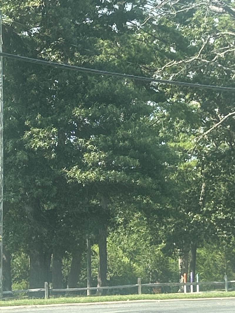 walking near me in Cape May County Park & Zoo in autumn