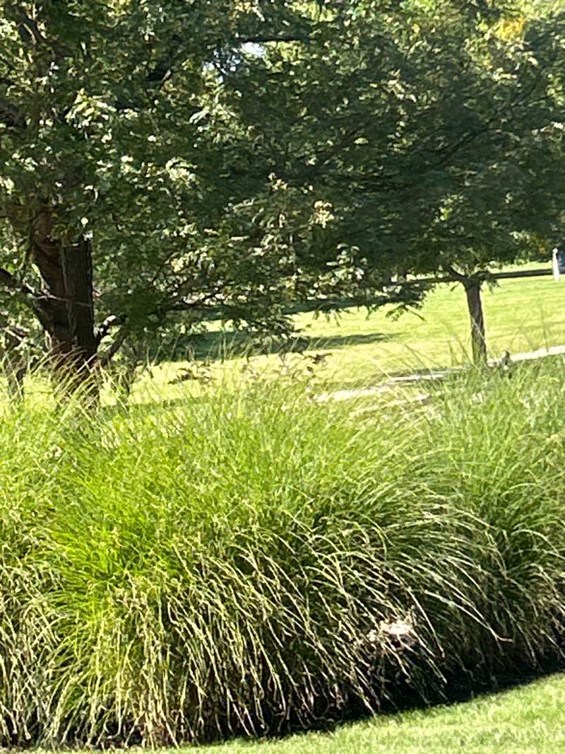 walking near me in Beaumont at Brookside Park in autumn