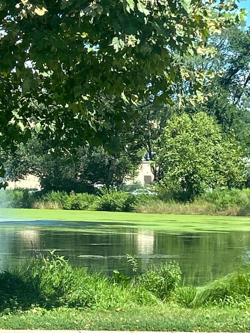 walking near me in Union Terrace in autumn