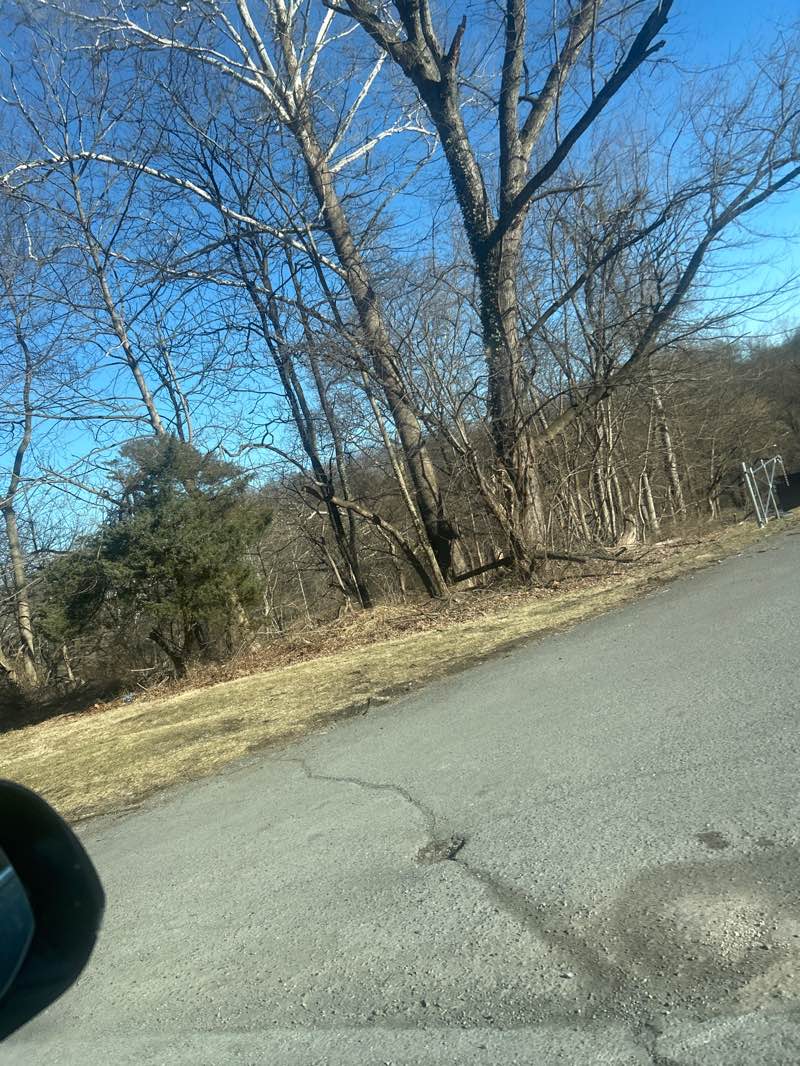 walking near me in Wy-Hit-Tuk Park in spring