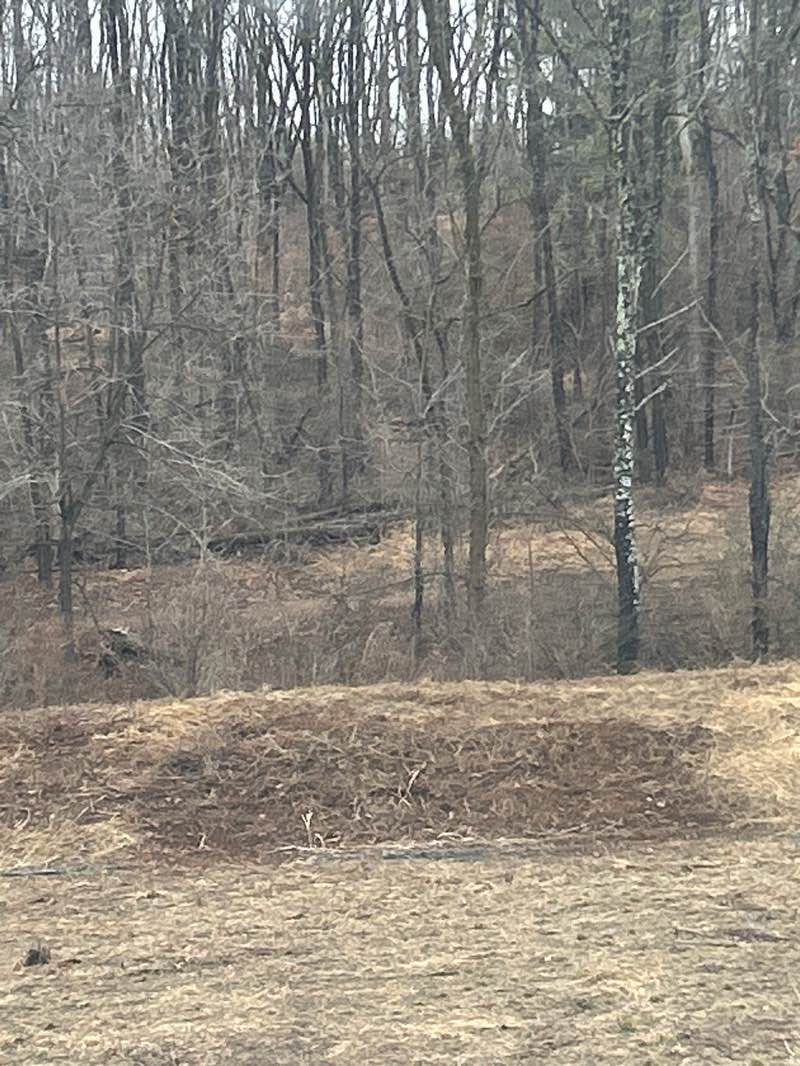 walking near me in Enos B. Godshall Park in spring