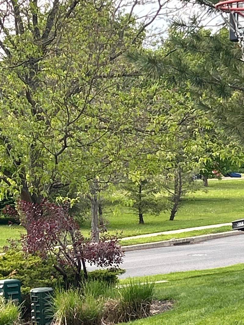 walking near me in Beaumont at Brookside Park in spring