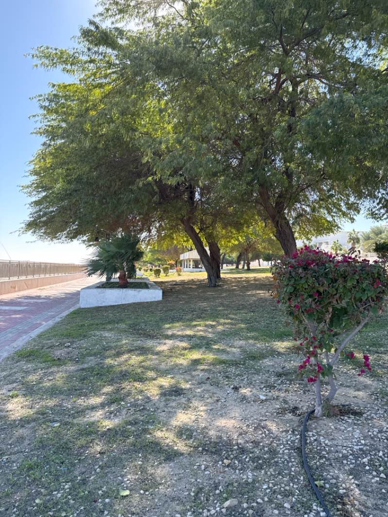 walking near me in Sudair Corniche in winter