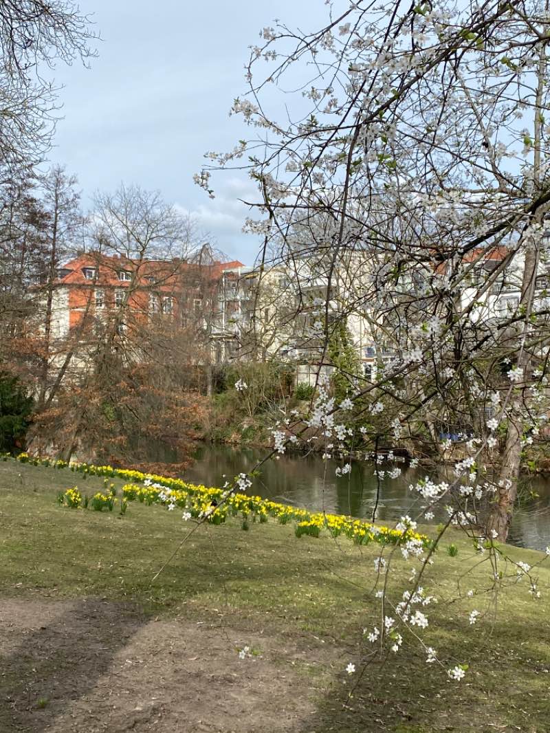 walking near me in Museumpark in winter