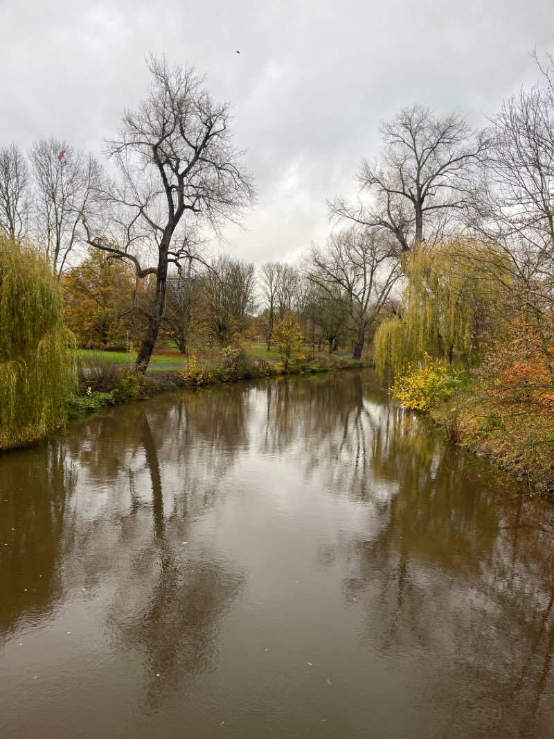 walking near me in Kiryat-Tivon-Park in winter