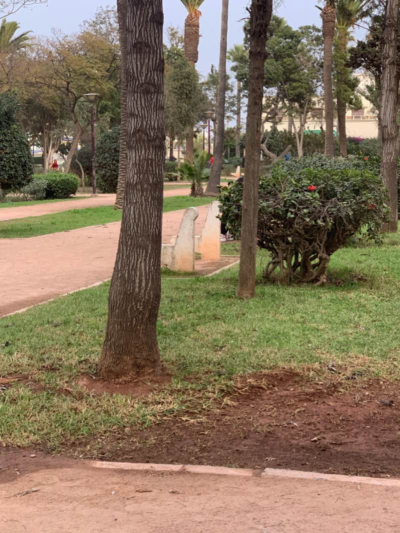 walking near me in Parc Murdoch in winter