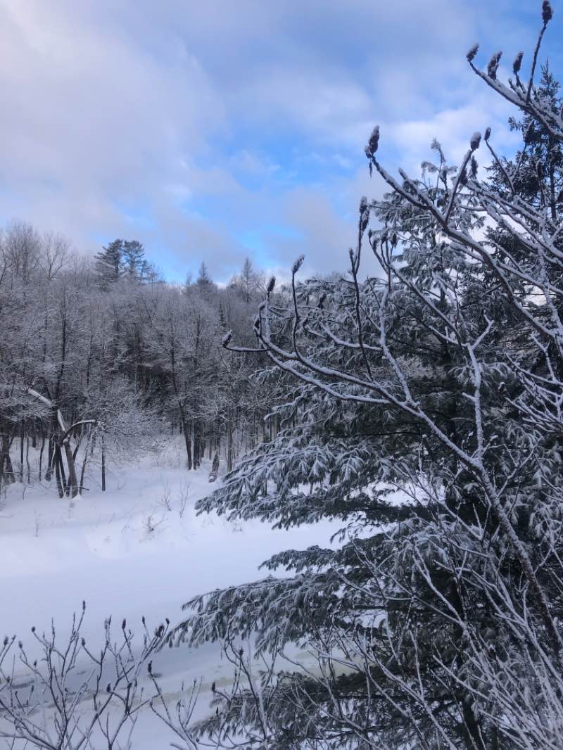 walking near me in Parc Lépine in winter